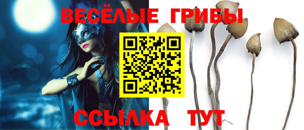 Галлюциногенные грибы Psilocybe  Псилоцибиновые грибы GOLDEN TEACHER  Михайловка  купить наркоту  Вход с VPN 
