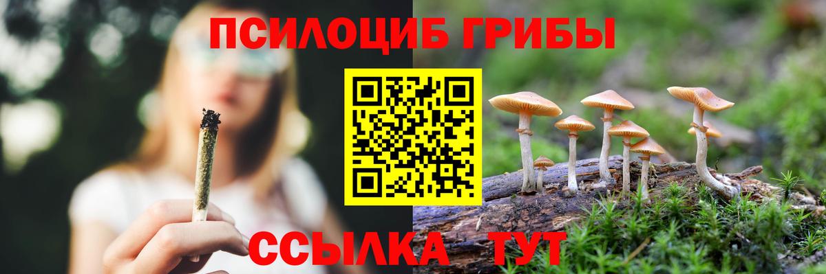 Псилоцибиновые грибы Cubensis Михайловка